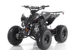 Bl-black