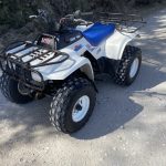 Kawasaki Bayou 220