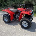 Yamaha Timberwolf 250