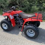 Yamaha Timberwolf 250