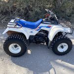 Kawasaki Bayou 220