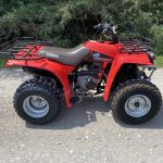 Yamaha Timberwolf 250