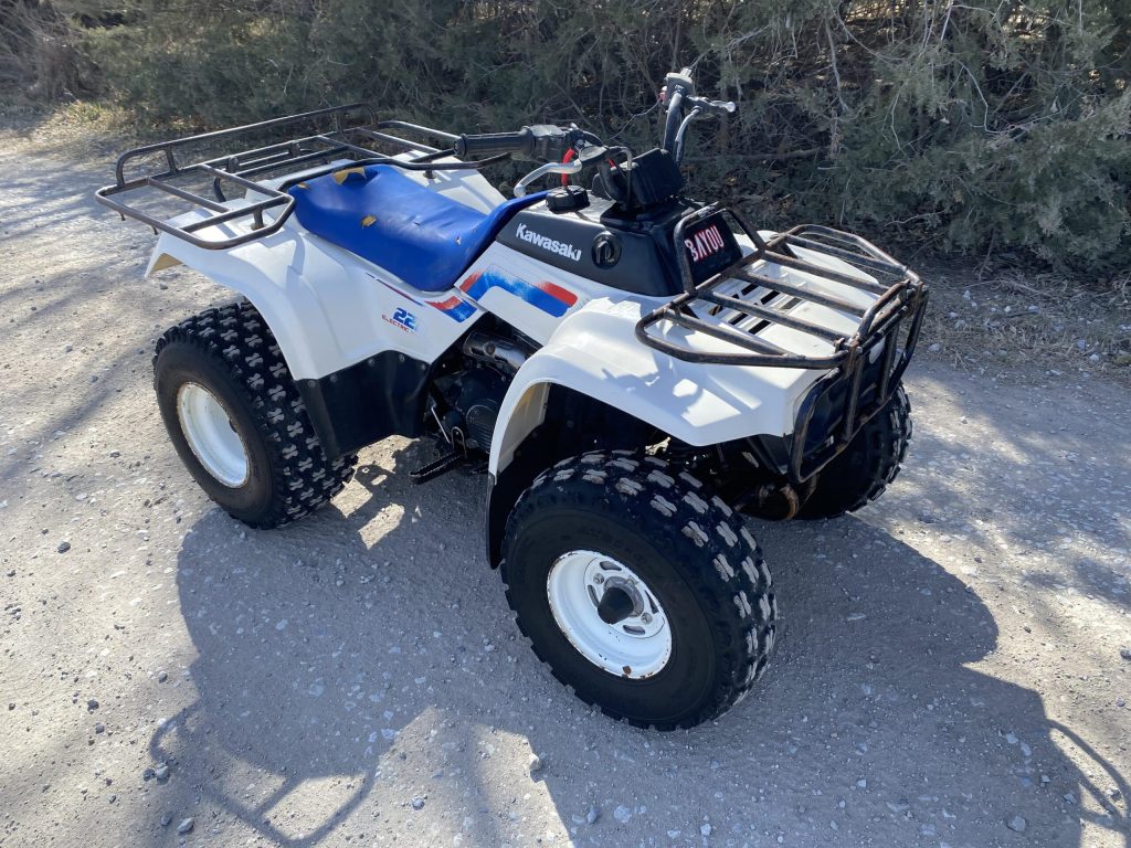 Kawasaki Bayou 220
