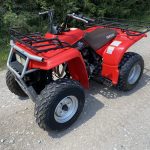 Yamaha Timberwolf 250