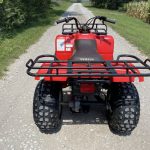 Yamaha Timberwolf 250
