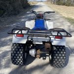 Kawasaki Bayou 220